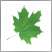 Green Party of Canada