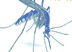 West Nile Virus