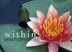 North Beach Counselling