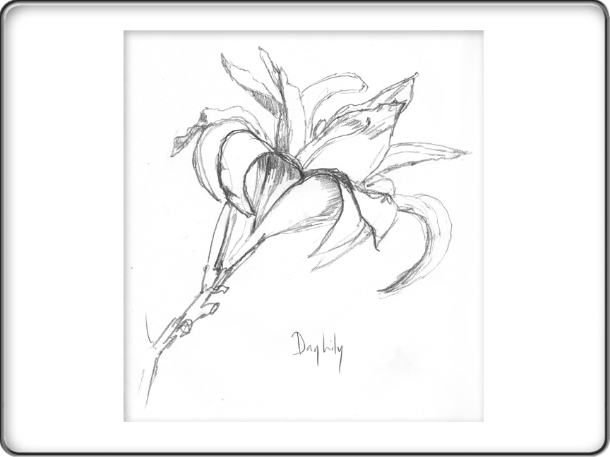 gay lily