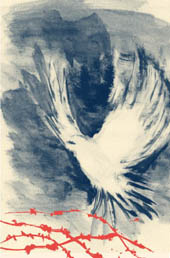 Canadian Centre for Victims of Torture Dove