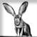 Rabbit Ears